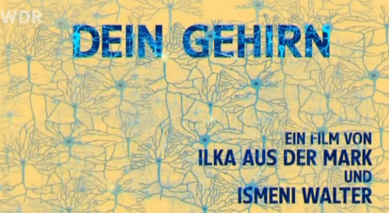 Dein Gehrin